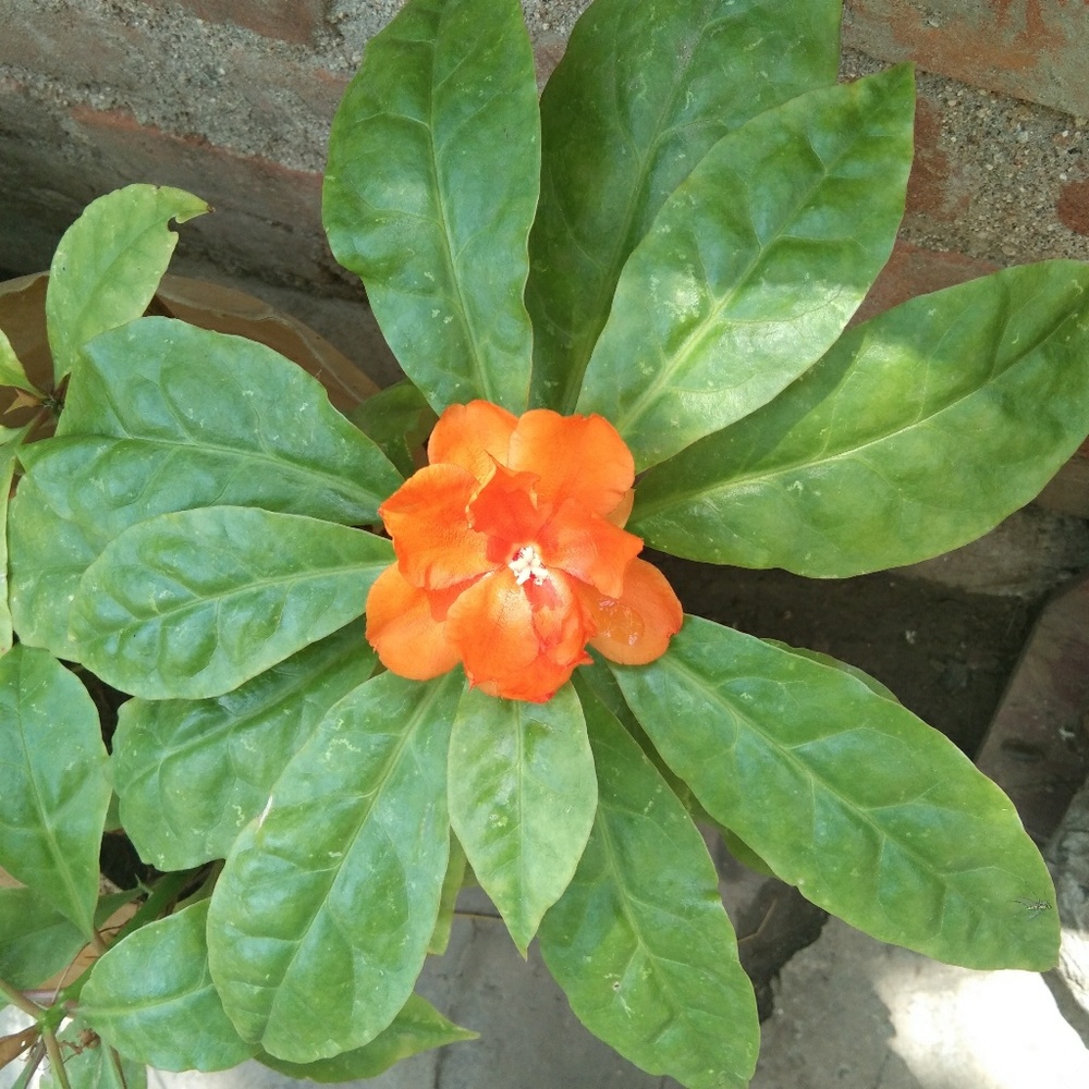 Meet your Posher, Raghavi